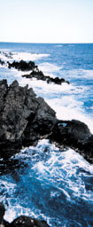 the shore and the sea